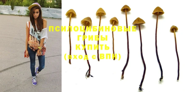круглые Ельня