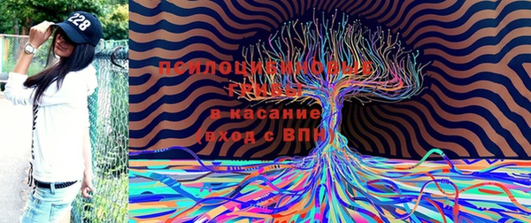 тгк Заводоуковск